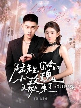 陆先生，你捡的小玫瑰又掀桌了之荆棘玫瑰（太子爷的小玫瑰又掀桌了） 2026 短剧 海报