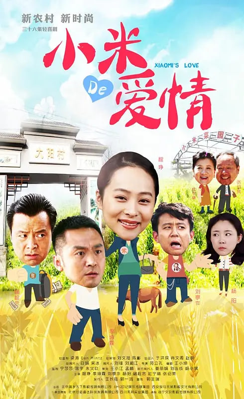 小米的爱情 2016 电视剧 海报