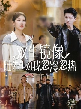 双生镜像陆先生对我忽冷忽热 2025 短剧 海报