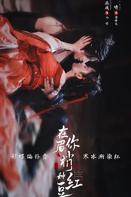 在你眉梢种红豆 2026 电视剧 海报