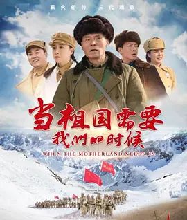当祖国需要我们的时候 2022 电视剧 海报