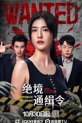 绝境通缉令 2025 电视剧 海报