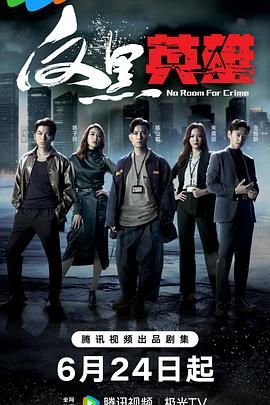 反黑英雄 粤语版 2024 电视剧 海报