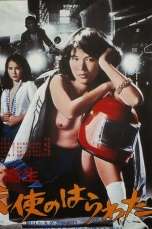 天使心肠之高中生 1978 电影 海报