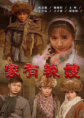 家有辣嫂 2011 电影 海报