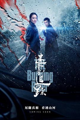 迷雾追踪 2020 电视剧 海报