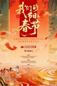 2026全国我们的节日 2026 综艺 海报