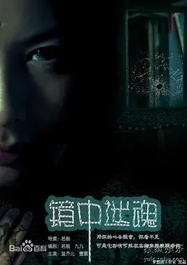 镜中迷魂 2011 电影 海报