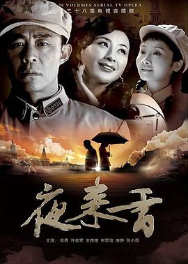 夜来香 2008 电视剧 海报