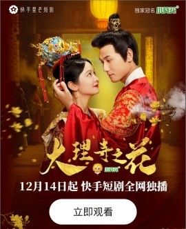 大理寺之花 2025 短剧 海报