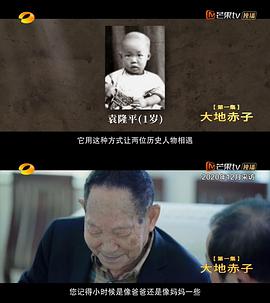 杂交水稻之父袁隆平 2021 纪录片 海报
