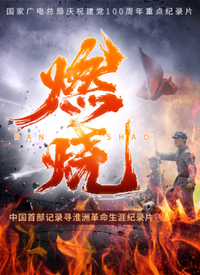 燃烧 2021 纪录片 海报