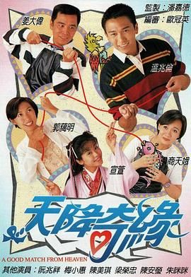 天降奇缘 1995 电视剧 海报