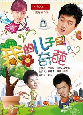 我的儿子是奇葩 2014 电视剧 海报