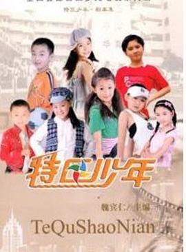 特区少年 2008 电视剧 海报