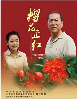 榴花正红 2011 电影 海报