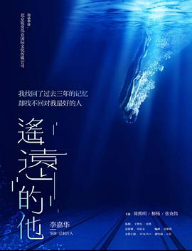 遥远的他 2018 电影 海报